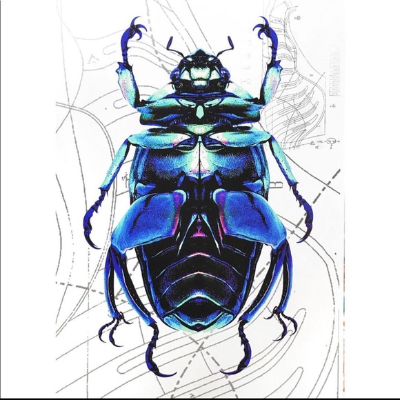 Meet your Posher, Chris - Picture 1 of 1